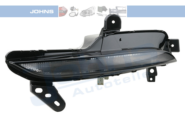 JOHNS Blinkleuchte 6120191 vorne links für RENAULT