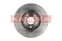 KAMOKA Bremsscheibe, Art.-Nr. 1031071