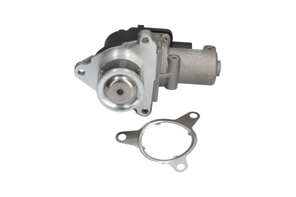 KAVO PARTS AGR-Ventil eeg3021 für KIA