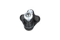 KAVO PARTS Trag-/F�hrungsgelenk, Art.-Nr. SBJ-10018