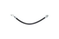 KAVO PARTS Bremsschlauch, Art.-Nr. BBH-3206