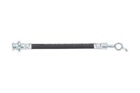 KAVO PARTS Bremsschlauch, Art.-Nr. BBH-6804