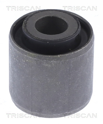 TRISCAN Lagerung, Lenker 850016873 für Ford
