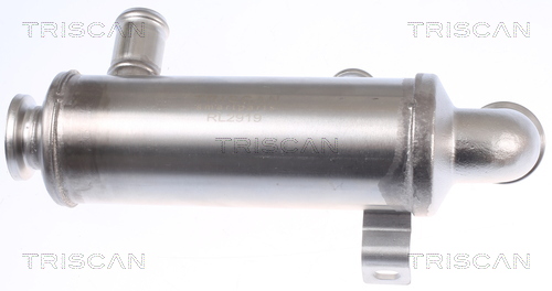 TRISCAN Kühler, Abgasrückführung 881310111 für Peugeot Ford