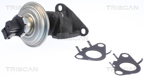TRISCAN AGR-Ventil 881311010 für MINI TOYOTA