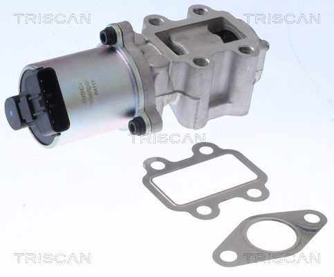 TRISCAN AGR-Ventil 881313100 für TOYOTA