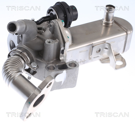 TRISCAN Kühler, Abgasrückführung 881314031 für NISSAN