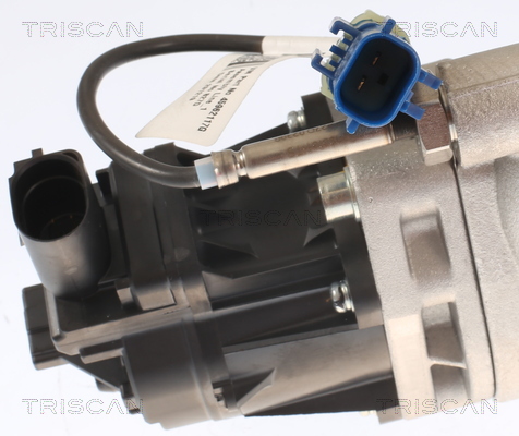 TRISCAN AGR-Ventil 881315001 für Chrysler