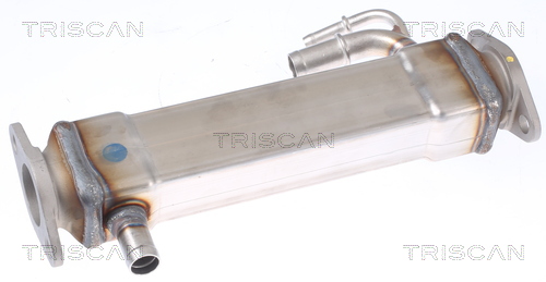 TRISCAN Kühler, Abgasrückführung 881315073 für Fiat