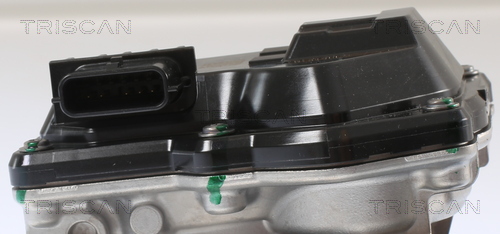 TRISCAN AGR-Ventil 881316002 für Ford