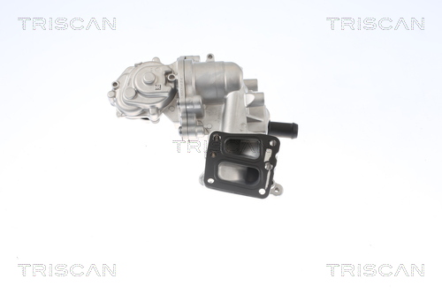 TRISCAN AGR-Ventil 881316005 für Ford