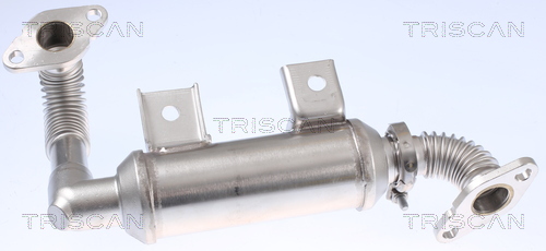 TRISCAN Kühler, Abgasrückführung 881316103 für Ford