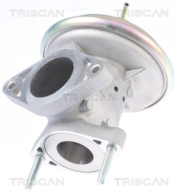 TRISCAN AGR-Ventil 881316213 für Ford