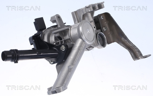 TRISCAN AGR-Ventil 881328103 für Peugeot TOYOTA