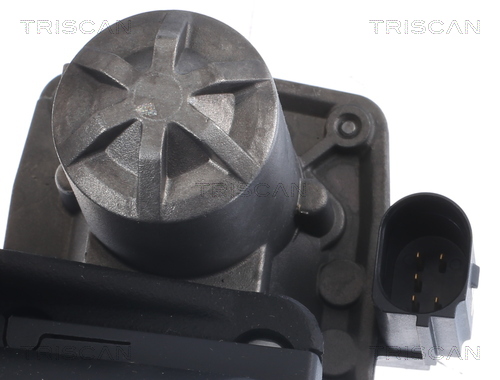 TRISCAN AGR-Ventil 881329005 für VW