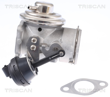 TRISCAN AGR-Ventil 881329308 für VW