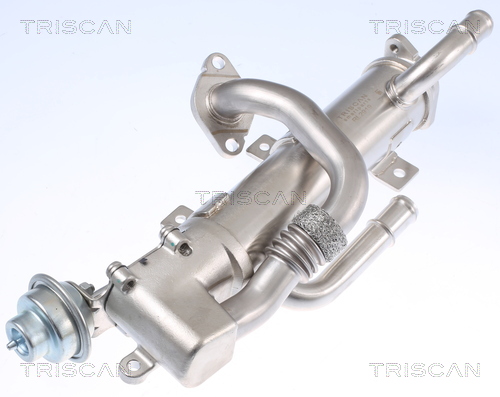 TRISCAN Kühler, Abgasrückführung 881329333 für Audi