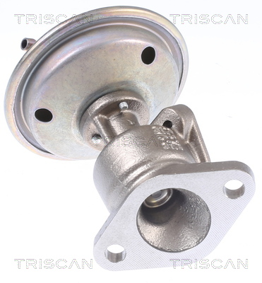 TRISCAN AGR-Ventil 881329340 für VW