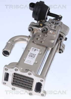 TRISCAN Kühler, Abgasrückführung 881343104 für HYUNDAI KIA