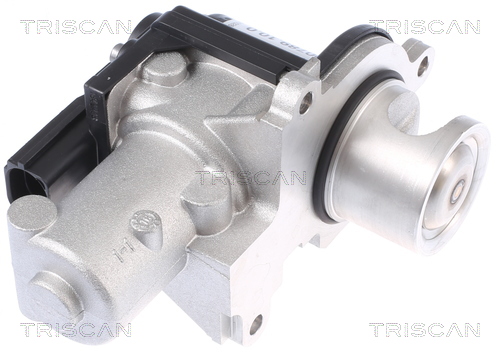 TRISCAN AGR-Ventil 881329338 für VW Porsche