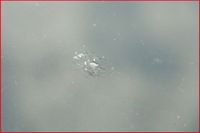 KS-TOOLS Reparatursatz, Steinschlag (Scheibe), Art.-Nr. 140.2530