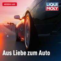 LIQUI MOLY Reinigungstcher "Autonaturleder", Art.-Nr. 1596