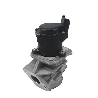 MAGNETI MARELLI AGR-Ventil 571822112029 für Citroën/Peugeot Ford TOYOTA