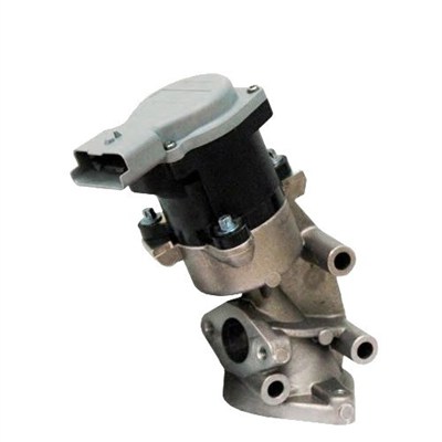 MAGNETI MARELLI AGR-Ventil 571822112032 für LAND ROVER