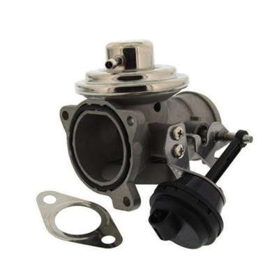 MAGNETI MARELLI AGR-Ventil 571822112046 für VW