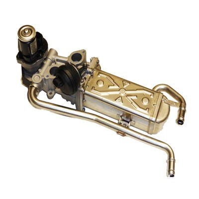 MAGNETI MARELLI AGR-Ventil 571822112069 für VW