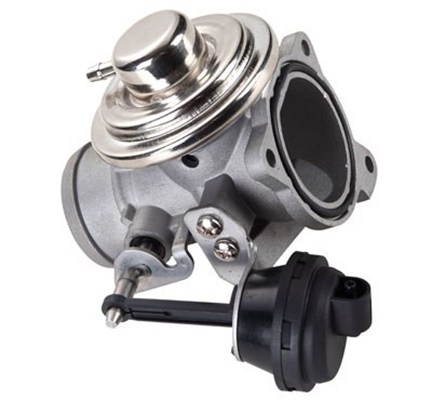 MAGNETI MARELLI AGR-Ventil 571822112076 für STANDARD AUTOMOBILE Ford SEAT VW