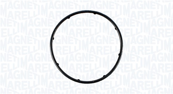 Magneti Marelli Wasserpumpe 350984177000 Für Land Rover