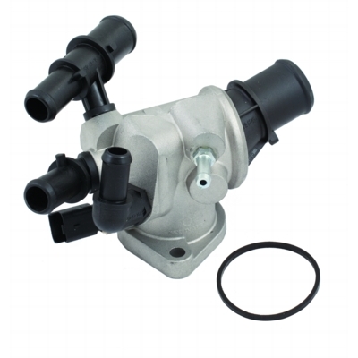 Meat & Doria Thermostat, Kühlmittel 92491 Für Lancia