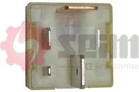 SEIM Steuerger�t, Gl�hzeit, Art.-Nr. 105630