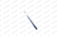 MONROE Gasfeder, Koffer-/Laderaum "MONROE MaxLift", Art.-Nr. ML5250