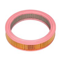 MANN-FILTER Luftfilter, Art.-Nr. C 2852/2