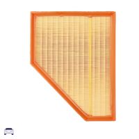 MANN-FILTER Luftfilter, Art.-Nr. C 30 135