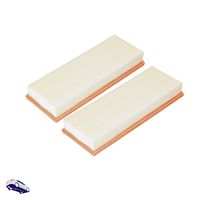 MANN-FILTER Luftfilter, Art.-Nr. C 3698/3-2