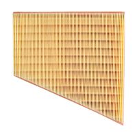 MANN-FILTER Luftfilter, Art.-Nr. C 2295/2