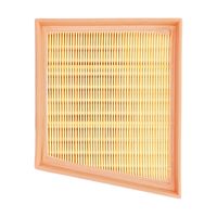 MANN-FILTER Luftfilter, Art.-Nr. C 17 006