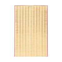 MANN-FILTER Luftfilter, Art.-Nr. C 2998/5 x