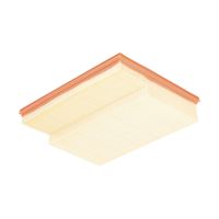 MANN-FILTER Luftfilter, Art.-Nr. C 30 195/2