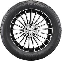 Nankang Winterreifen "275/40 R20 106T XL, Nordic compound - ICE ACTIVA 2", Art.-Nr. JD013