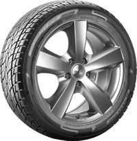 Nankang Sommerreifen "295/30 ZR22 103Y XL - Utility SP-7", Art.-Nr. JC140