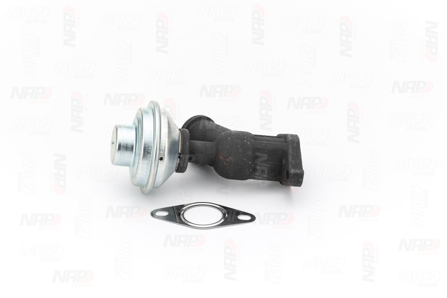 NAP AGR-Ventil cav10081 für Peugeot Citroën ALFA ROMEO