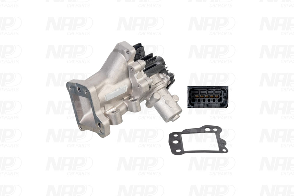 NAP AGR-Ventil cav10125 für Ford MITSUBISHI LAND ROVER Peugeot Citroën/Peugeot JAGUAR