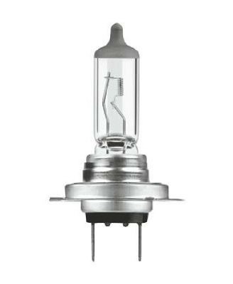 NEOLUX® Glühlampe, Tagfahrleuchte n499elscb