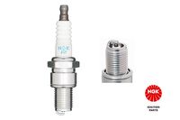 NGKNTK Z�ndkerze, Art.-Nr. 3194