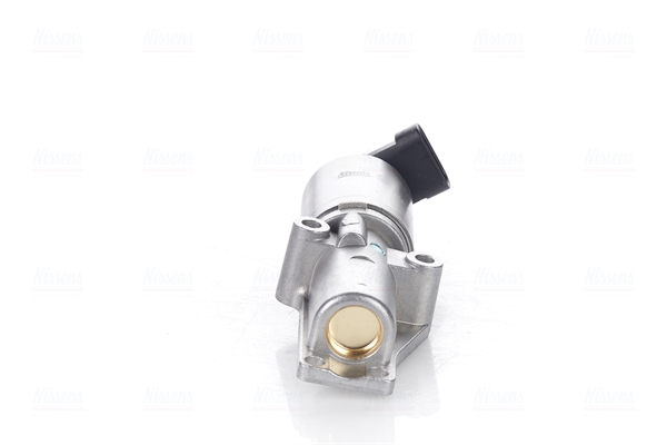 NISSENS AGR-Ventil 98170 für Vaughall