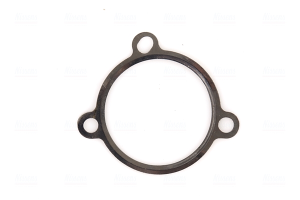 NISSENS AGR-Ventil 98154 für Vaughall Volvo NISSAN RENAULT DACIA